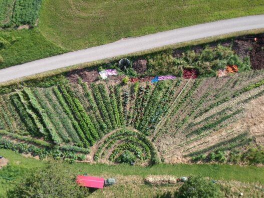 Permakulturgarten Vogelperspektive. Die Beeten des Garten sind wie Sonnenstrahlen ausgerichtet