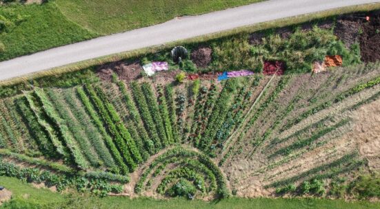 Permakulturgarten Vogelperspektive. Die Beeten des Garten sind wie Sonnenstrahlen ausgerichtet