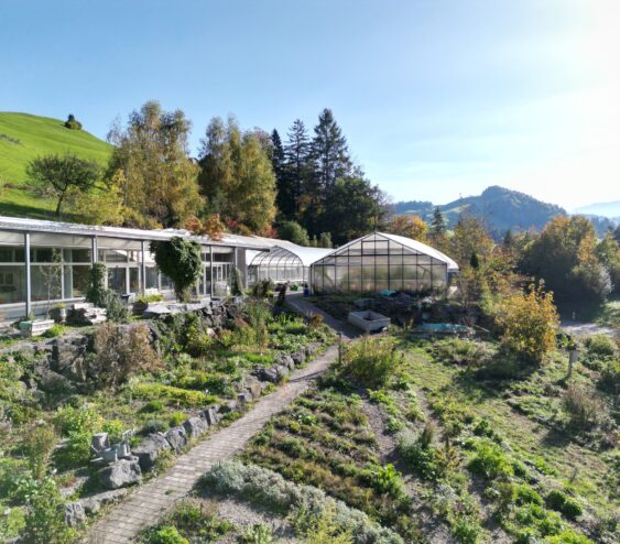 Heilkräutergarten mit Gewächshäuser